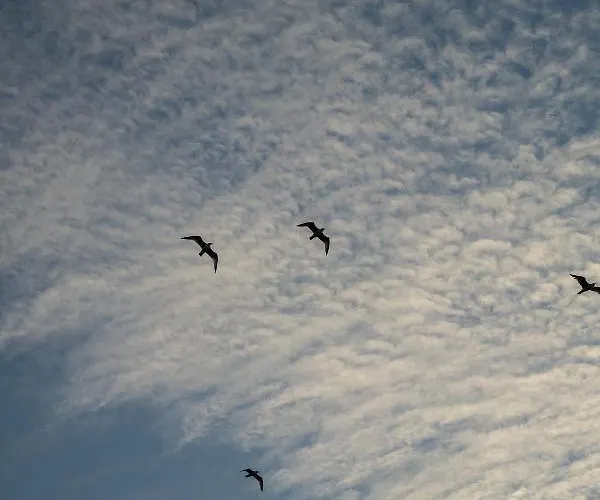 Casa vacanze Grande Maison à Deux Pas De La